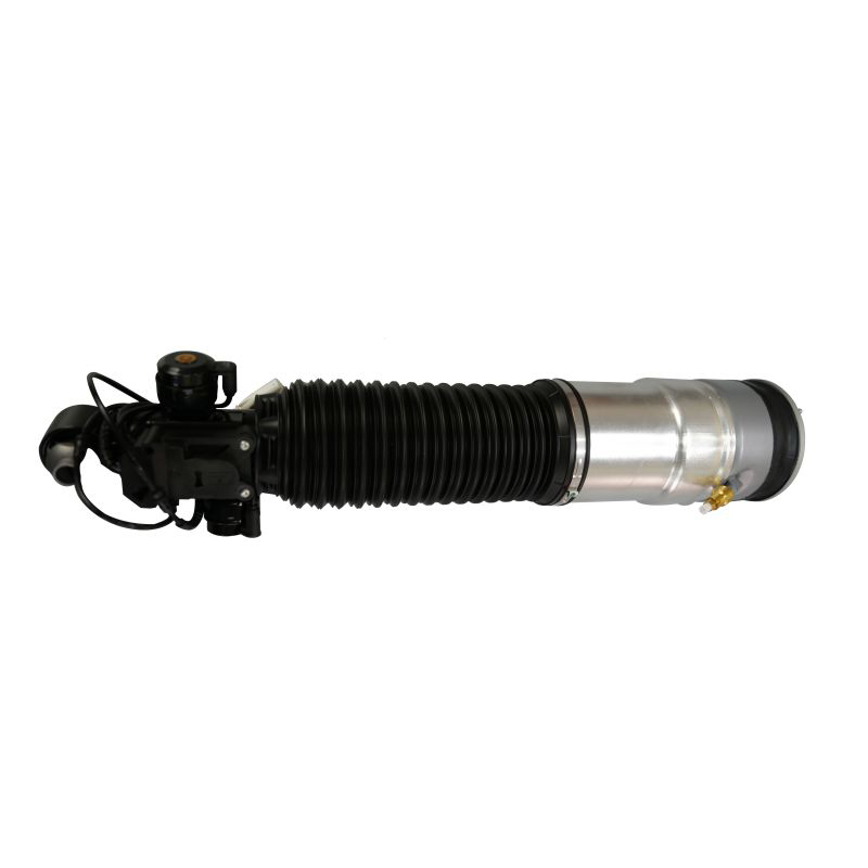 BMW 7 F02 Rear Air Shock Absorber